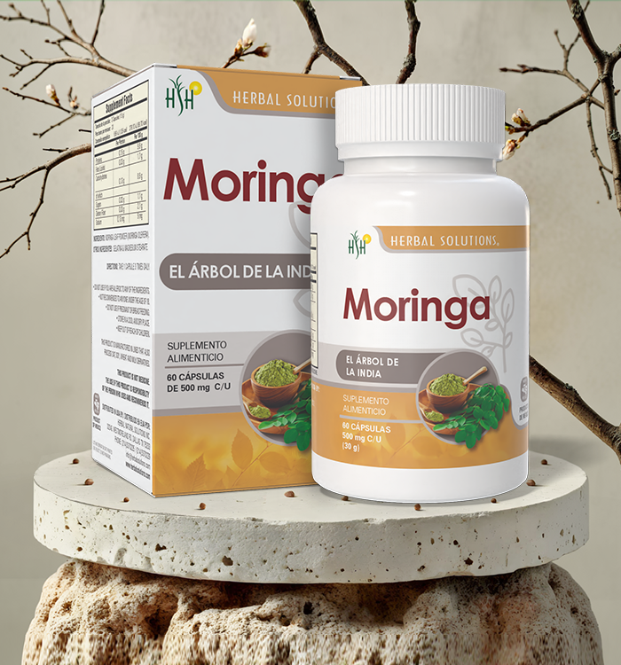 MORINGA FRASCO 60 CAPS 500 MG C/U - Image 2