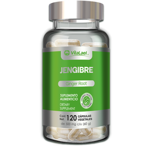 JENGIBRE FCO 120 CAP VEG