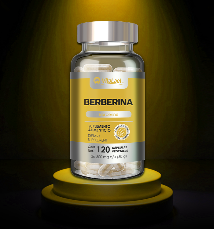 BERBERINA FCO 120 CAP VEG - Image 2